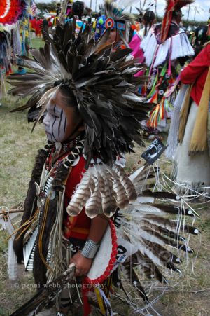 Pow Wow 173 dpi72 wm.jpg